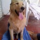 soy jagger y estoy buscando ñovia para rokear 

